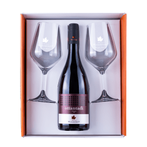 Ottantadì, vino rosso Nero di Troia Puglia IGP - Tenute Manduano (8)