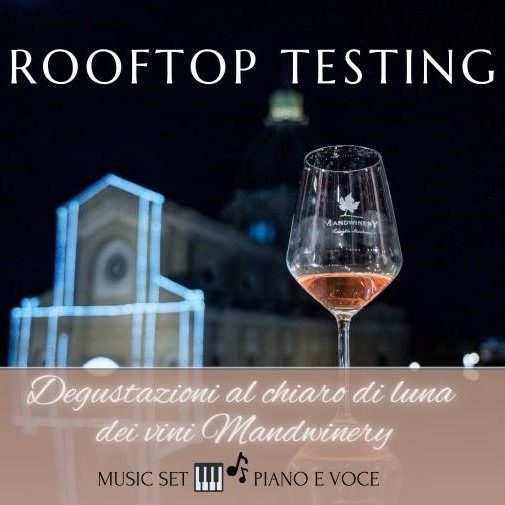Rooftop Experience, degustazione Tenute Manduano (3)
