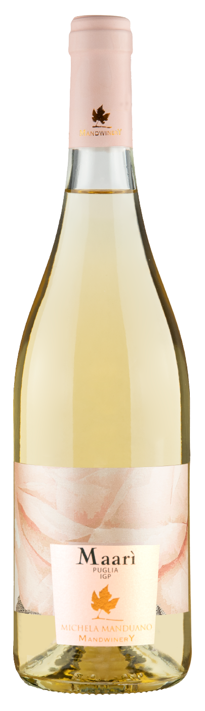 Maarì, vino bianco Chardonnay Puglia IGP - Tenute Manduano (7)