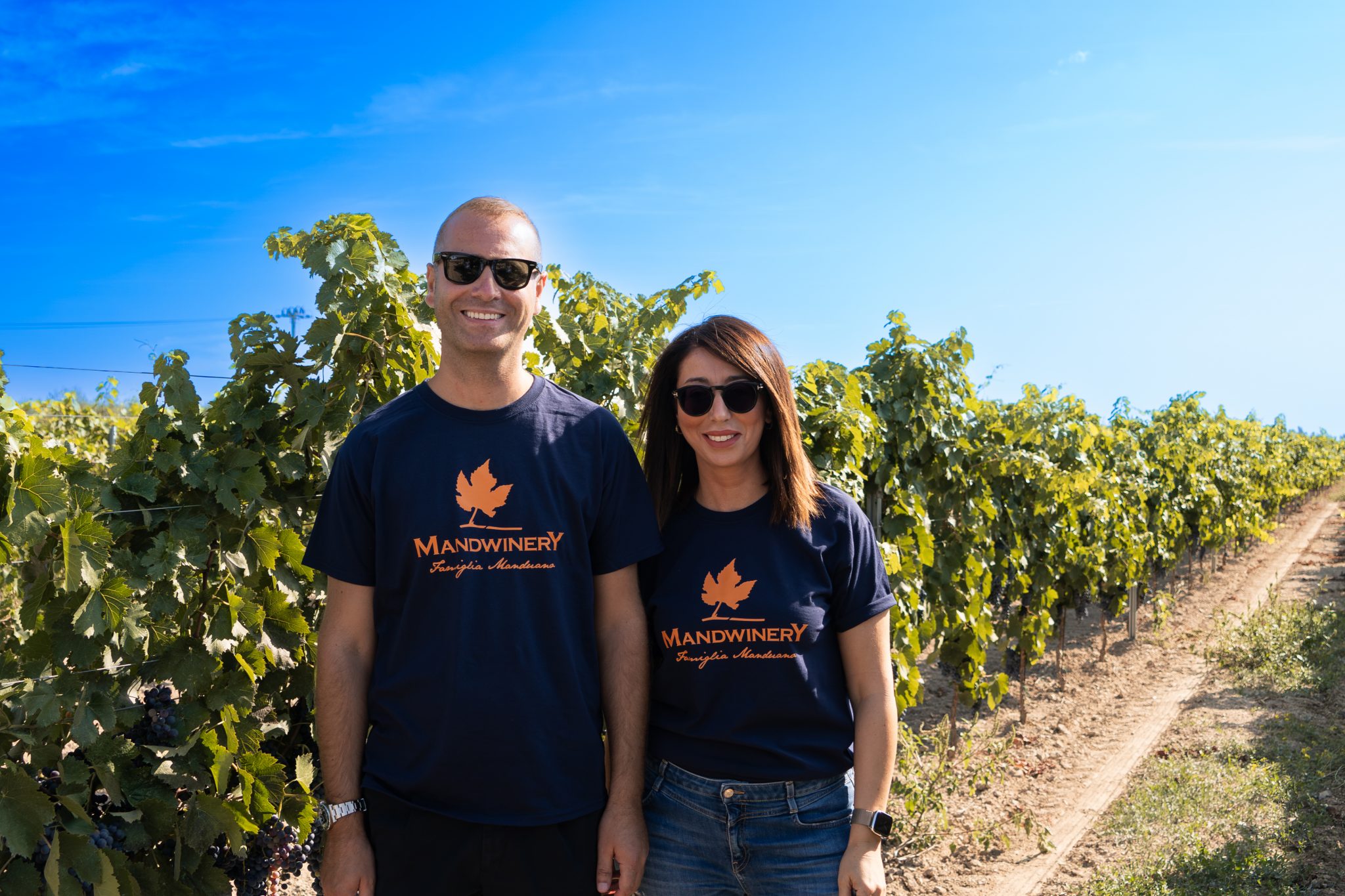 Vendemmia nelle vigne di Tenute Manduano a Cerignola (5)